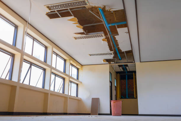 Best Professional water damage repair  in Marengo, IA