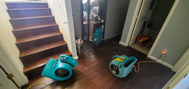 Best 24/7 water damage repair  in Marengo, IA