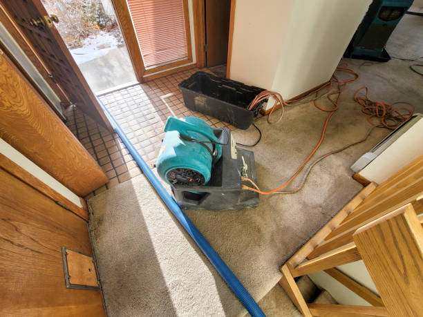 Best Water damage restoration services  in Marengo, IA