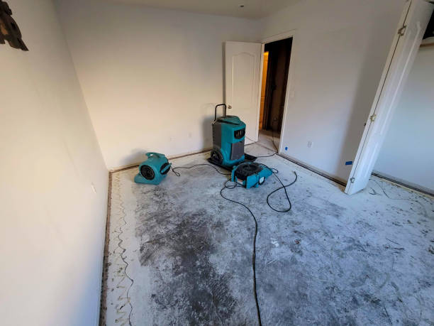 Best Ceiling water damage repair  in Marengo, IA