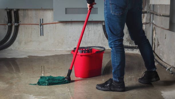 Best Water damage cleanup near me  in Marengo, IA