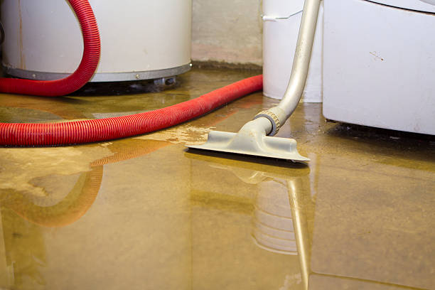 Best Commercial water damage restoration  in Marengo, IA