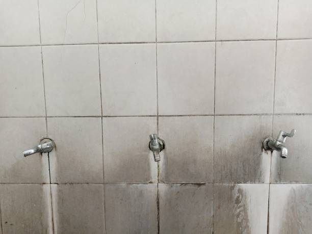 Best Water damage cleanup near me  in Marengo, IA