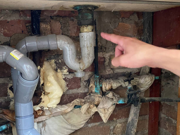 Best Basement water damage restoration  in Marengo, IA