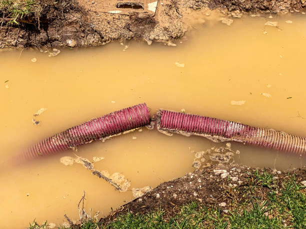 Best Residential water damage restoration  in Marengo, IA