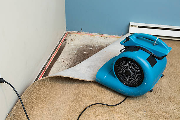 Water damage restoration process in IA